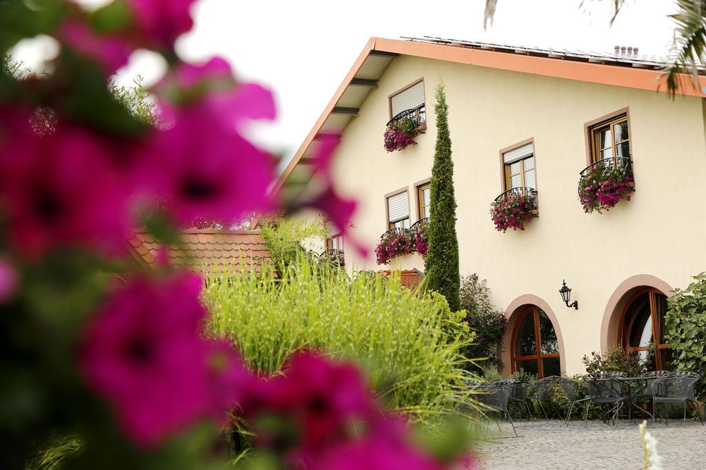 Villa Hochdoerffer Gaestehaus ลันเดาอินแดร์ฟัลซ์ ภายนอก รูปภาพ