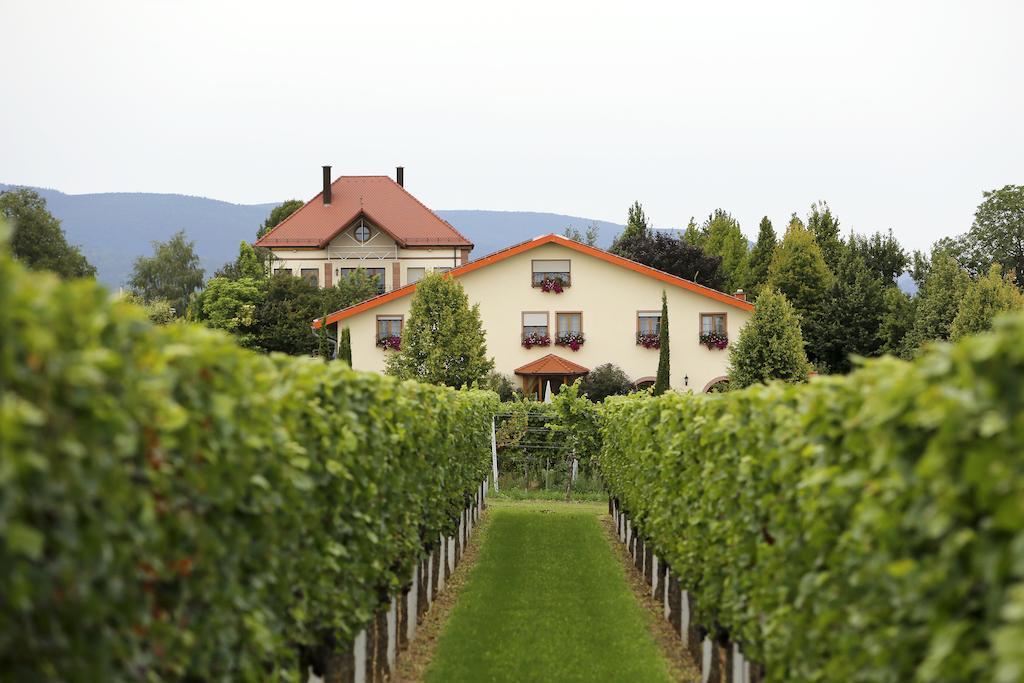 Villa Hochdoerffer Gaestehaus ลันเดาอินแดร์ฟัลซ์ ภายนอก รูปภาพ